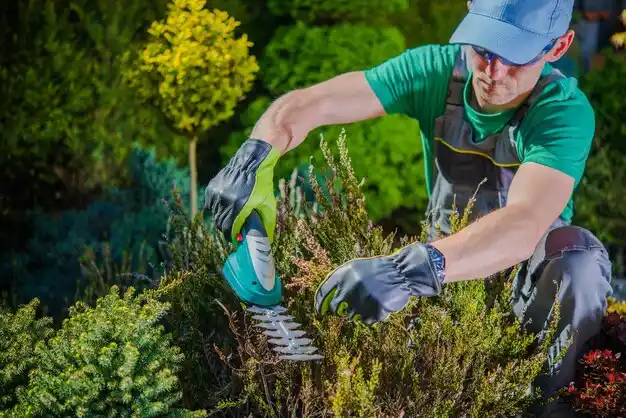 landscaping services Hemlock